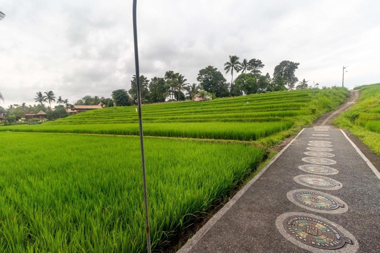 Umasari Rice Terrace Villa By Agata Tabanan  Exterior photo