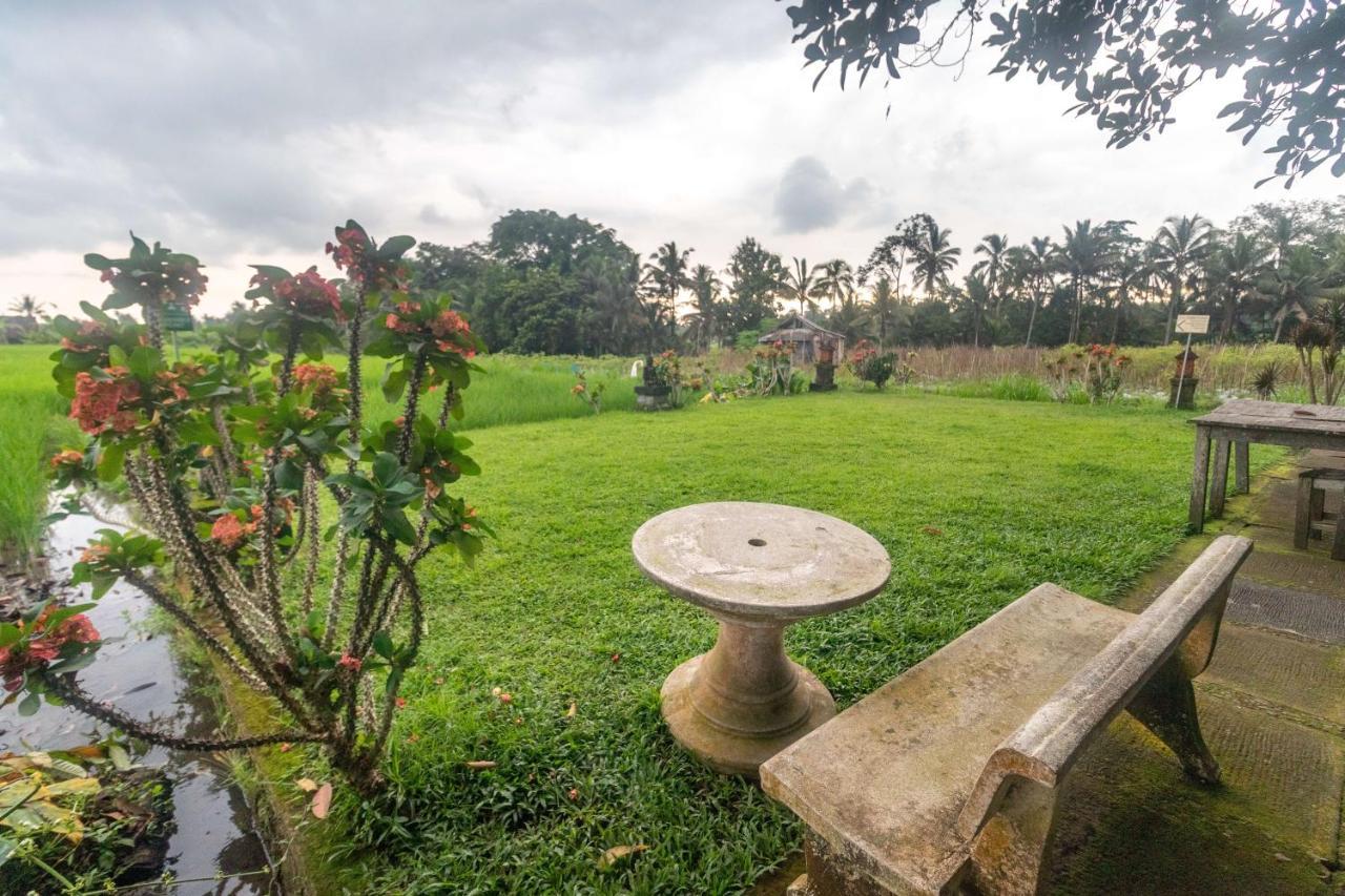 Umasari Rice Terrace Villa By Agata Tabanan  Exterior photo